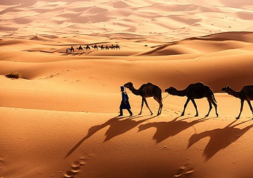 7 Days Tours From Marrakech To Casablanca