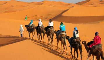 Camel Trekking Adventure