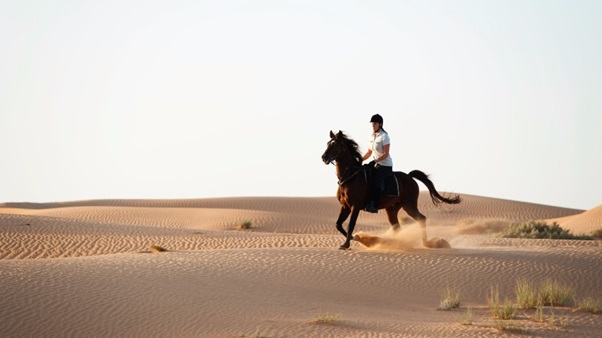 Merzouga Horseback Riding