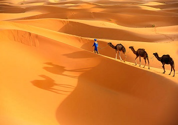 4 Days & 3 night Desert excursions from Fes