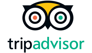 tripAdvisor-Morocco-camel-tours