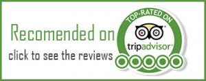 tripadvisor