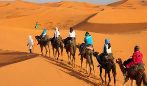 CAMEL TREKKING MOROCCO