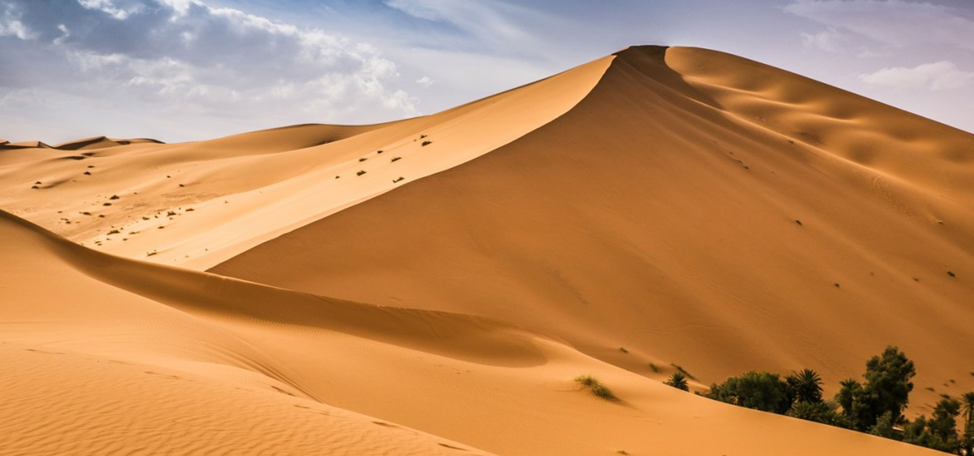 Morocco-Camel-tours