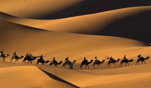 morocco camel tours