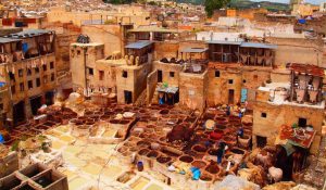 fes Morocco, camel tours