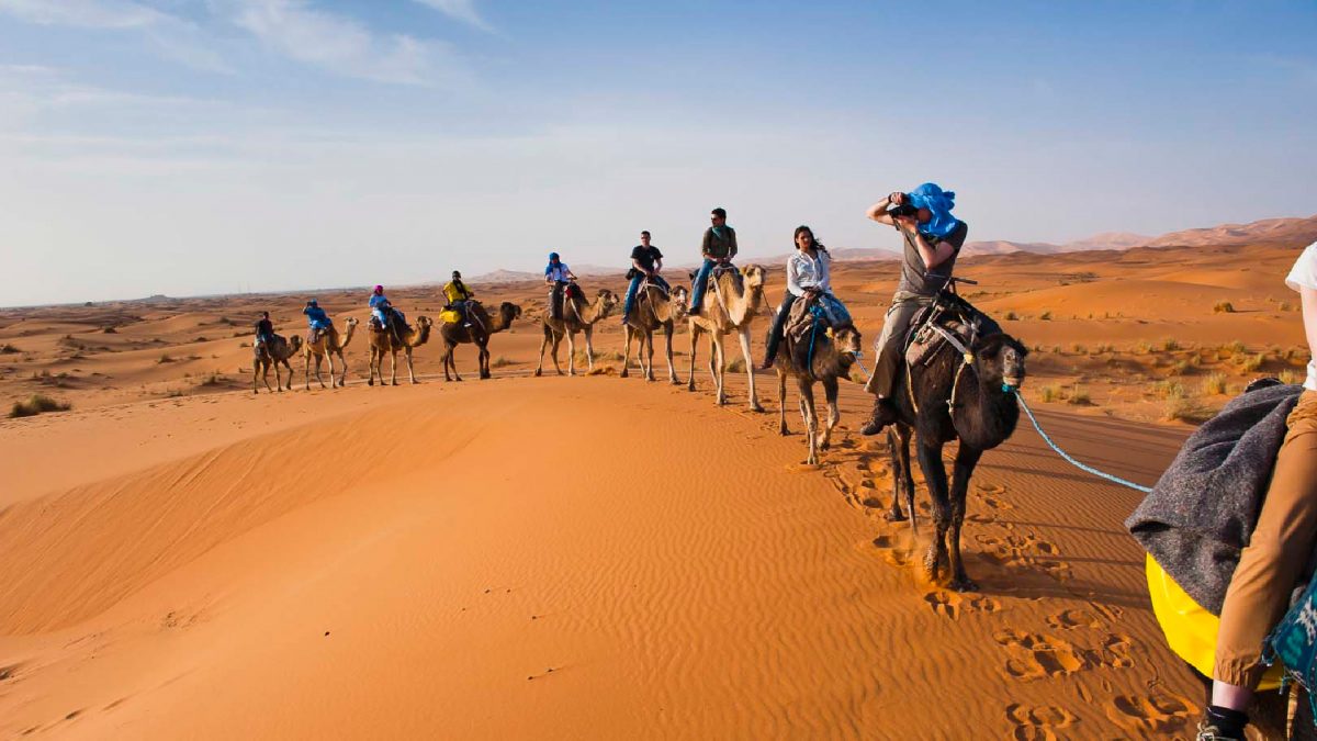 morocco-camel-tours in the Moroccan sahara desert near merzouga