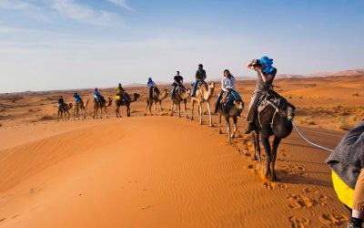 ¿Qué es tan fascinante de los tours en camello en Marruecos?