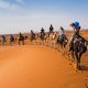 morocco-camel-tours in the Moroccan sahara desert near merzouga