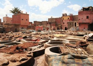 marrakech morocco camel tours