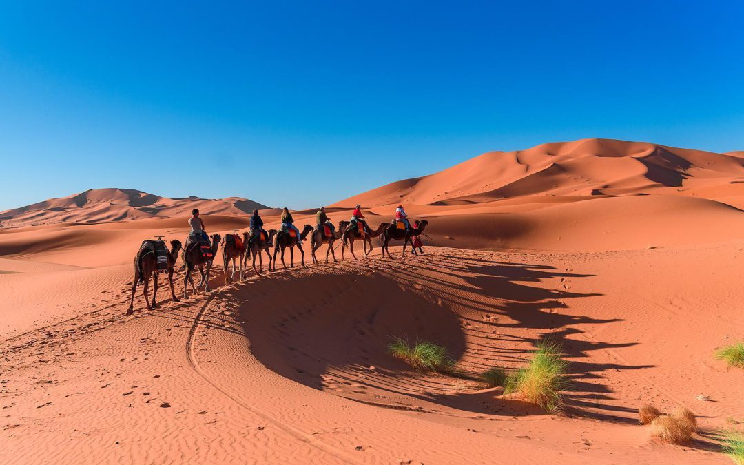 2 Days Morocco Desert Tours From Marrakech To Zagora
