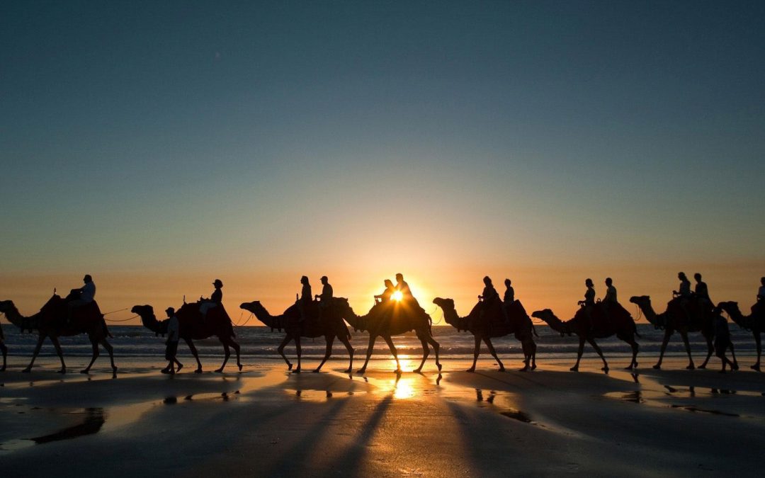 Camel Trek In The Sahara To Witness Perseids Meteor Shower