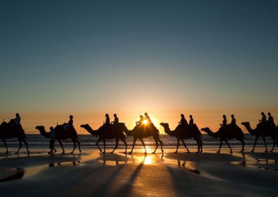 Camel Trek In The Sahara To Witness Perseids Meteor Shower