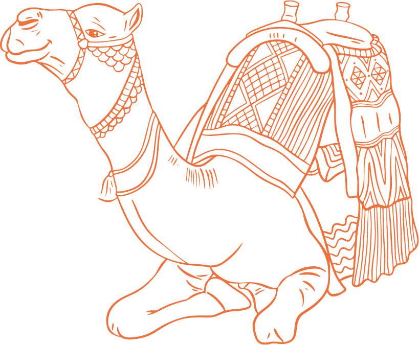 camel00